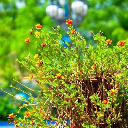 Haian Xian Homestay Huxi Zewnętrze zdjęcie